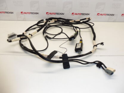 Adaptoare de impedanță linie antenă Citroen Peugeot 1401099880 1499494080 1499493080