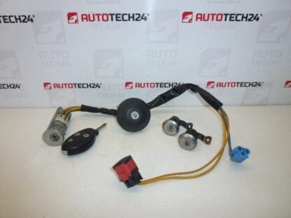 Set broaste + o cheie Citroën Xsara 4162Z5