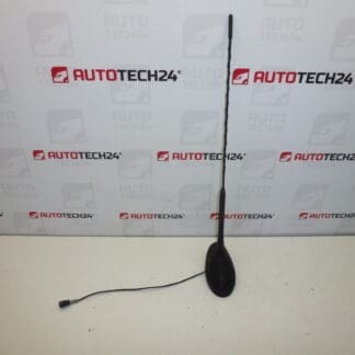 Antena cu spalator Citroën C5 9650910980 6561Y0