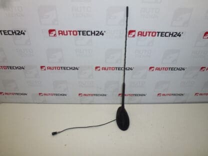 Antena cu spalator Citroën C5 9650910980 6561Y0