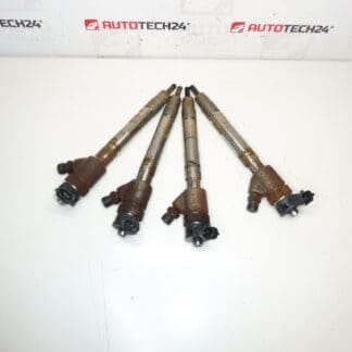 Kit injector Bosch 1.5 HDI 0445110955 9828959880