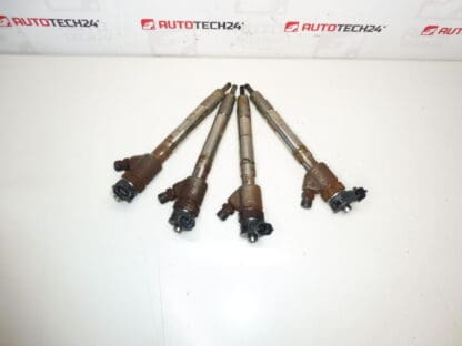 Kit injector Bosch 1.5 HDI 0445110955 9828959880