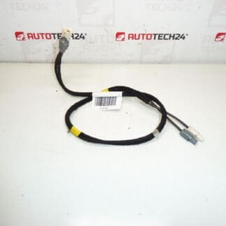 Cablaj antenă Citroën C4 II B7 și DS4 9675654480 6587C8