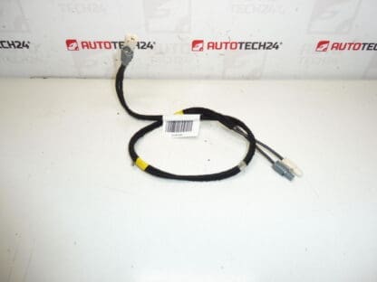 Cablaj antenă Citroën C4 II B7 și DS4 9675654480 6587C8