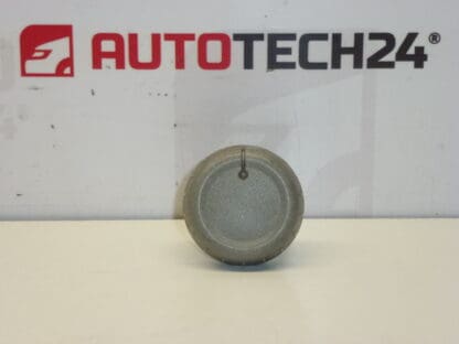 Buton comanda incalzire Citroën C1 Peugeot 107 6451SK