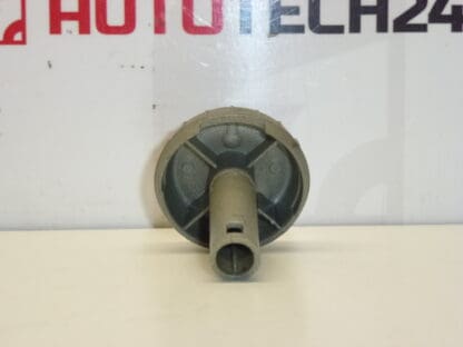 Buton comanda incalzire Citroën C1 Peugeot 107 6451SK