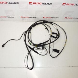 Cablu de antenă Citroën C8 Peugeot 807 1489134080 1494844080