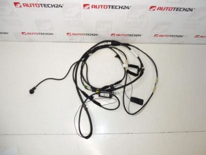 Cablu de antenă Citroën C8 Peugeot 807 1489134080 1494844080
