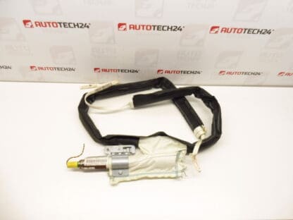 Airbag tavan dreapta Peugeot 207 9650247780 8331W9