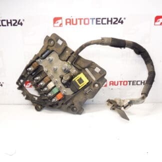 Citroën Peugeot 9675123880 Modul de siguranță