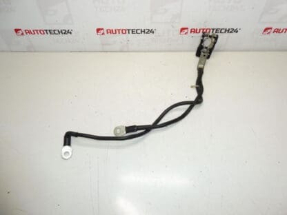 Un pachet pozitiv pentru baterie Citroën Peugeot 1612229980